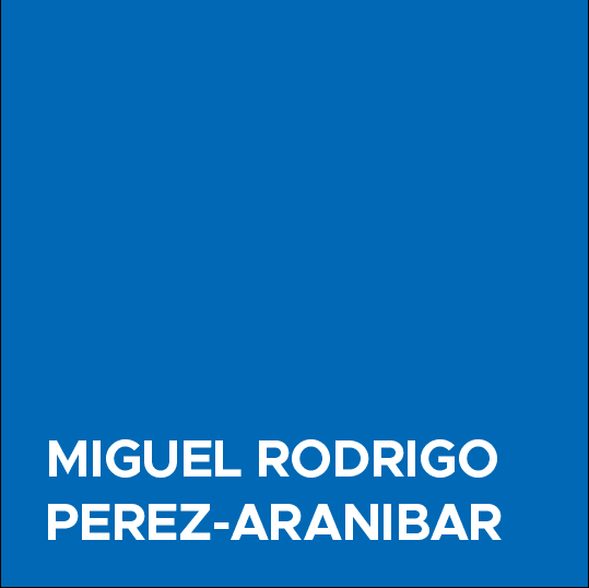 Miguel Rodrigo Perez-Aranibar