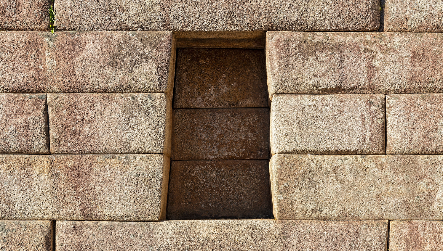 banner2-Banner-diagonal-2-2_0004_iStock-1267057839